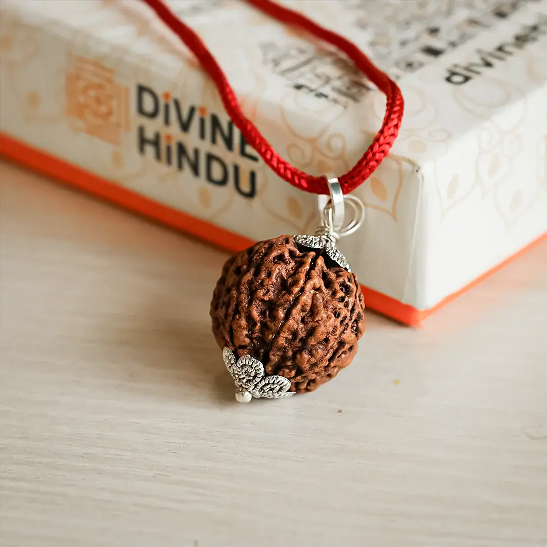 5 mukhi Rudraksh