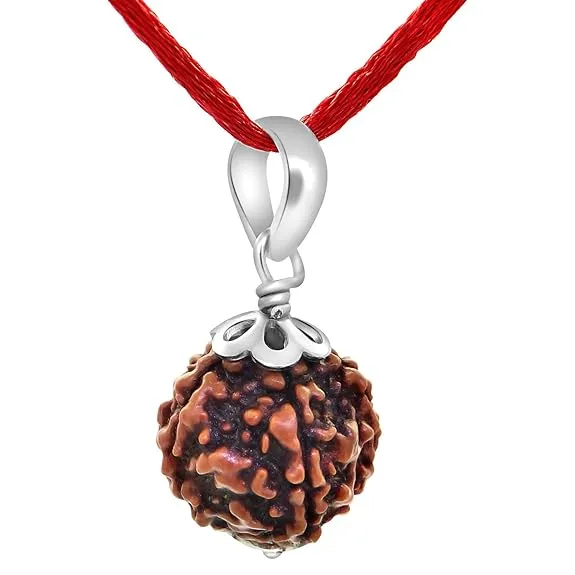 5 Mukhi Nepali Rudraksha Five Face Rudraksh With Original Quality Certificate Five Mukhi Rudraksha Pendant Model_Number_TT078